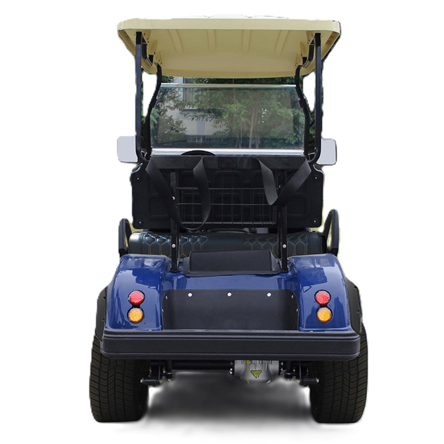 Evoquer Lithium Battery Electric Golf Cart